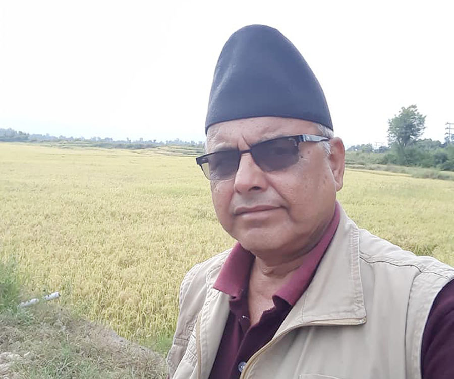 नयाँ पुस्ताका लागि फलियासाँघुको इतिहास