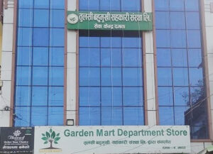 तुलसी सहकारीमा घोटाला प्रकरण : झण्डै १७ करोड हिनामिना भएको खुलासा, ४१ करोड ६३ लाख गैरकानुनी लगानी