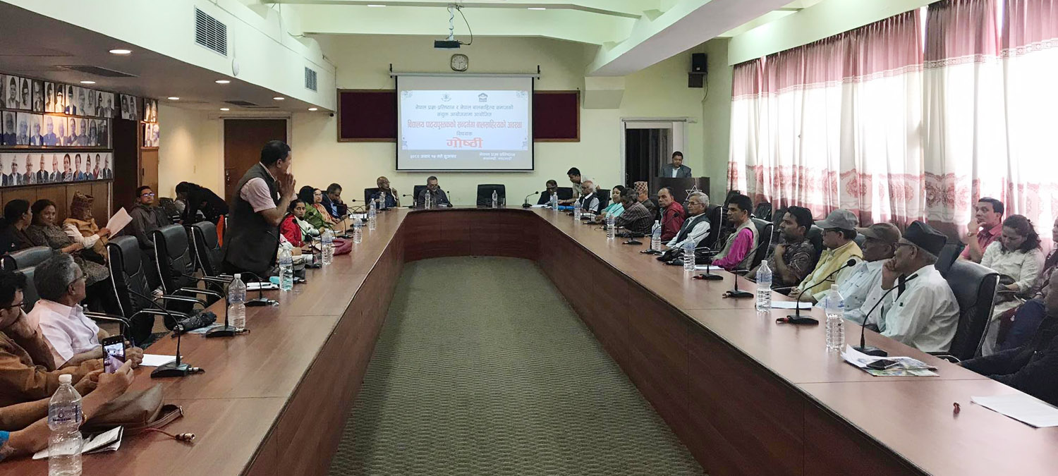 विद्यालय पाठ्यपुस्तकमा बालसाहित्यको अवस्था विषयक गोष्ठी