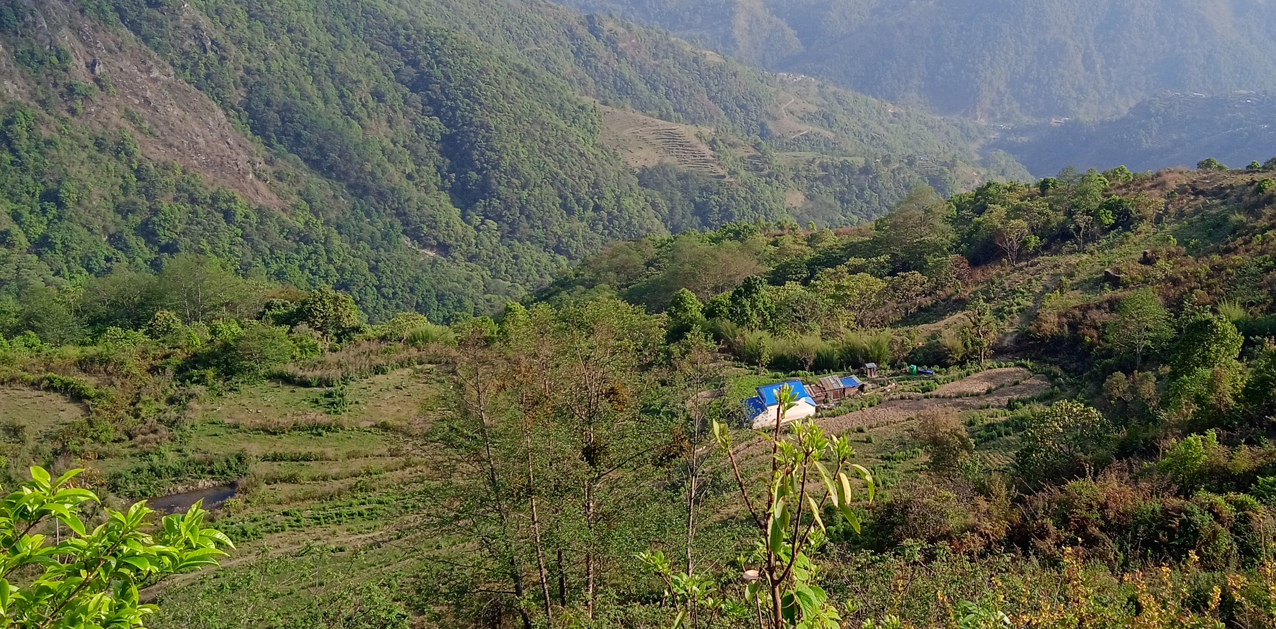 लमजुङमा पर्यटन प्रवर्द्धनसँगै ओखर र स्याउको व्यवसायिक खेती सुरु
