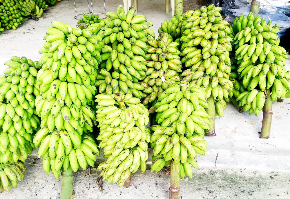 छठ पर्व : भारतबाट जनकपुरमा मात्रै ४ करोडको केरा ल्याइयो