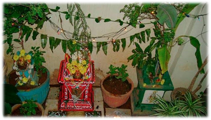 आज हरि– बोधिनी एकादशी : तुलसी र दामोदरको विवाह