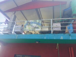 बैदेशिक रोजगारीका लागि पटक पटकको प्रयास असफल पछि मौरीको सफल व्यवसायी बन्दै ध्रुवकुमार दुरा ः बार्षिक ५ लाख कमाई