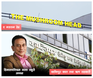 अन्ततः कान्तिपुर सहकारी समस्याग्रस्त घोषणा, अध्यक्ष ठकुरी पक्रिए
