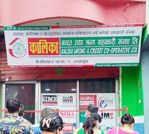 कालिका साकोस ठगी काण्ड : नाङ्ग्लो ठटाएर हात्ती तर्साउने खेलमा पीडकहरू