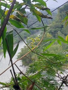 ३३ केभि विद्युतको हाइटेन्सन लाइन जमिनभन्दा चार मिटर मात्र उचाईमा, महिलाको लियो ज्यान