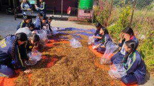विद्यालय हातामै विद्यार्थीलाई च्याउ खेती सिकाउँदै सयपत्री आमावि