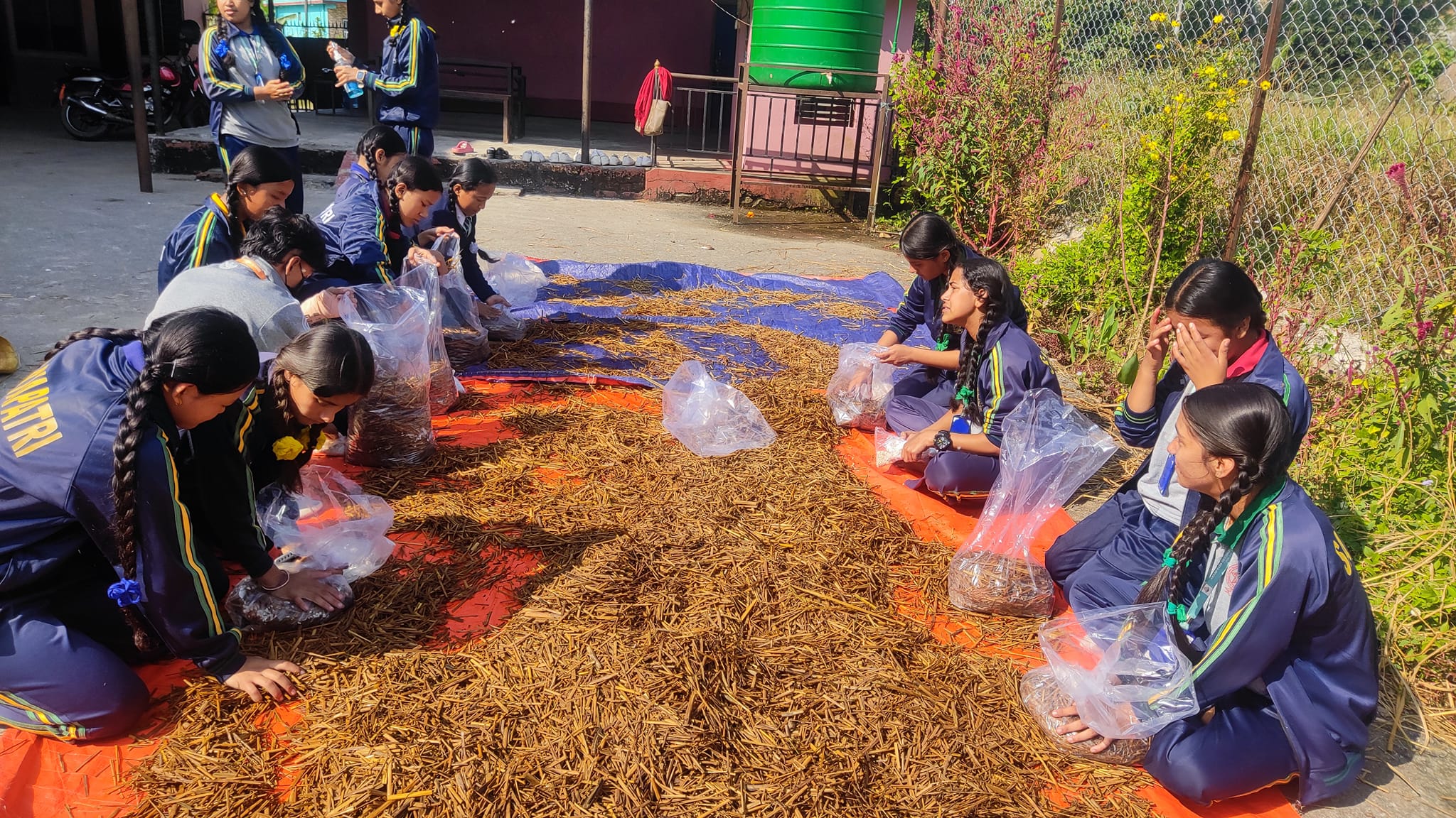 विद्यालय हातामै विद्यार्थीलाई च्याउ खेती सिकाउँदै सयपत्री आमावि
