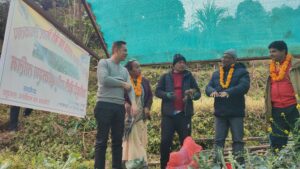 सतुवा खेतीको विउका लागि लमजुङ आत्म निर्भर, वनमन्त्री पौडेलद्वारा अनुगमन