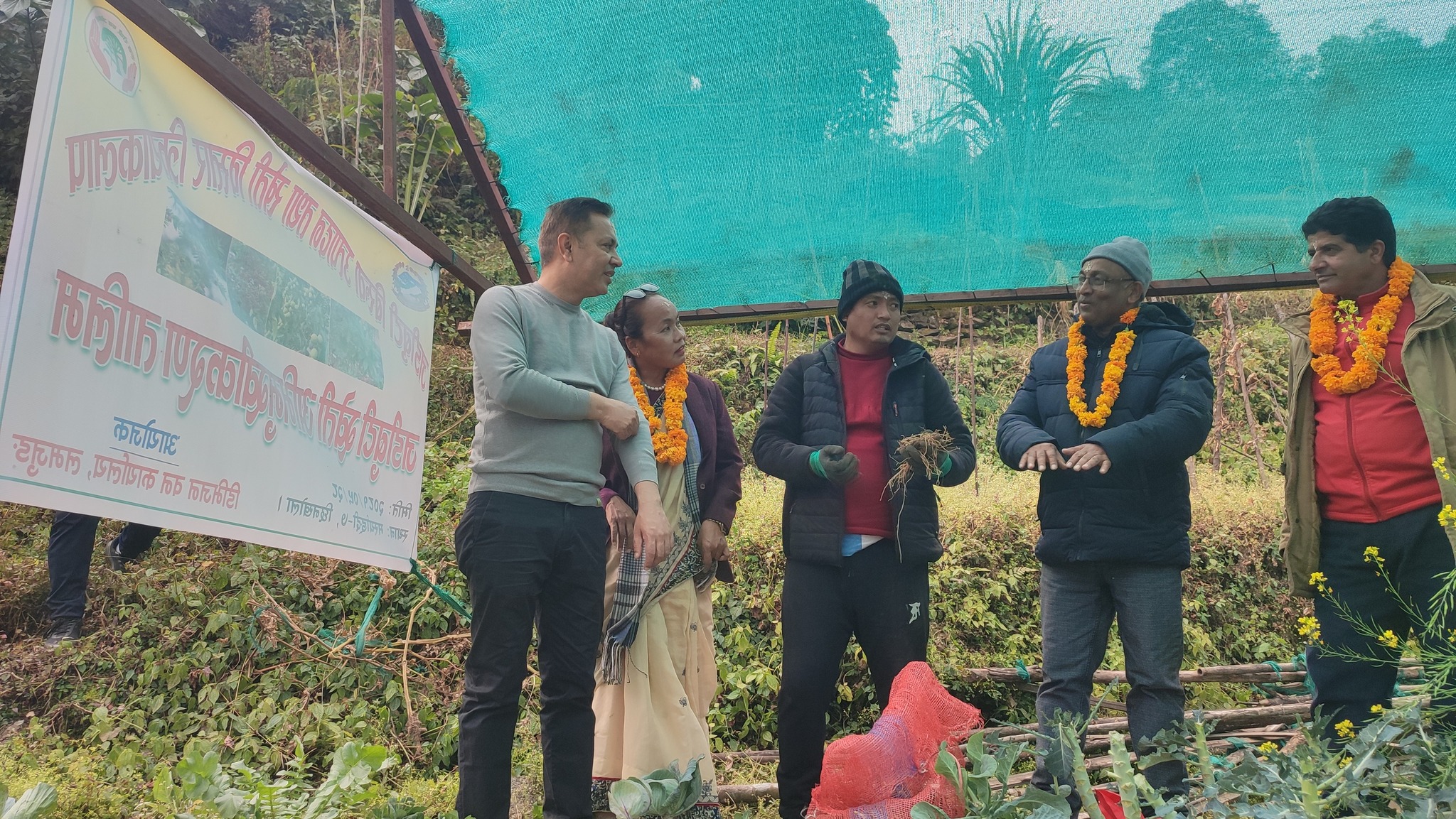 सतुवा खेतीको विउका लागि लमजुङ आत्म निर्भर, वनमन्त्री पौडेलद्वारा अनुगमन