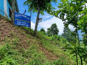 पं. तोयनाथको स्मृतिमा हलोक्रान्ति स्थलमा थपियो ८ रोपनी जग्गा