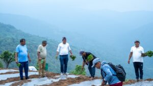 दोर्दी गाउँपालिका जुट्यो व्यवसायिक अकबरे खुर्सानी खेतीमा : सात सय रोपनीमा विरुवा रोपण, किसानलाई ५० प्रतिशत अनुदान