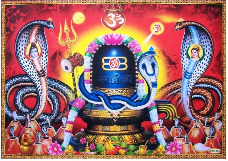 आज नागपञ्चमी पर्व : घर घरमा किन टासिन्छ नाग ?