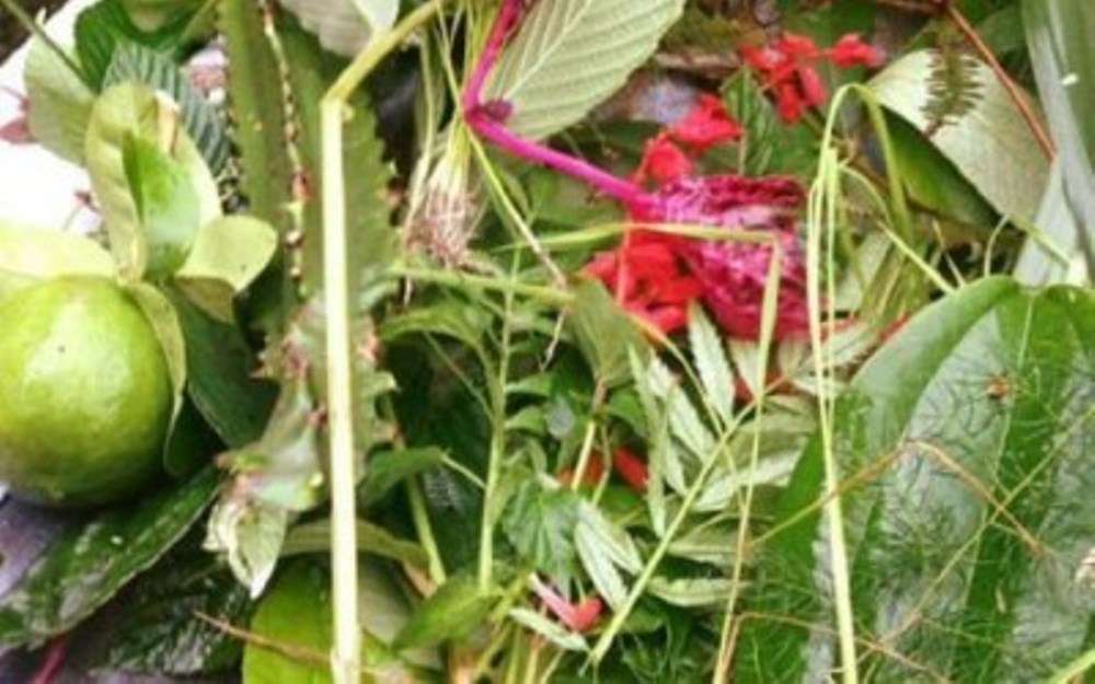 आज साउने संक्रान्ति : बाँचियो भनेर मान्ने चाड