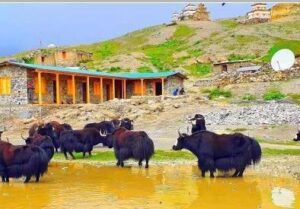 छार्का गाउँ, पर्यटन र तिब्बती संस्कृति 