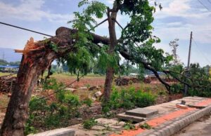 आज तीव्र गतिको हावाहुरी चल्ने, प्राधिकरणको सातबुँदे आग्रह