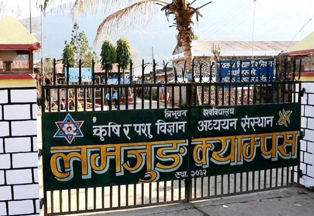 लमजुङ कृषि क्याम्पसका विद्यार्थीहरूको २० दिनदेखि जारी आन्दोलन अझै रोकिएन