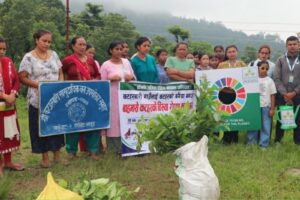 बाह्रमासे कटहरका विरुवा रोपण : कटहरबारी गाउँलाई कटहरको बगैंचा बनाउने लक्ष्य