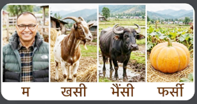 म, खशी, भैंसी र फर्सी !